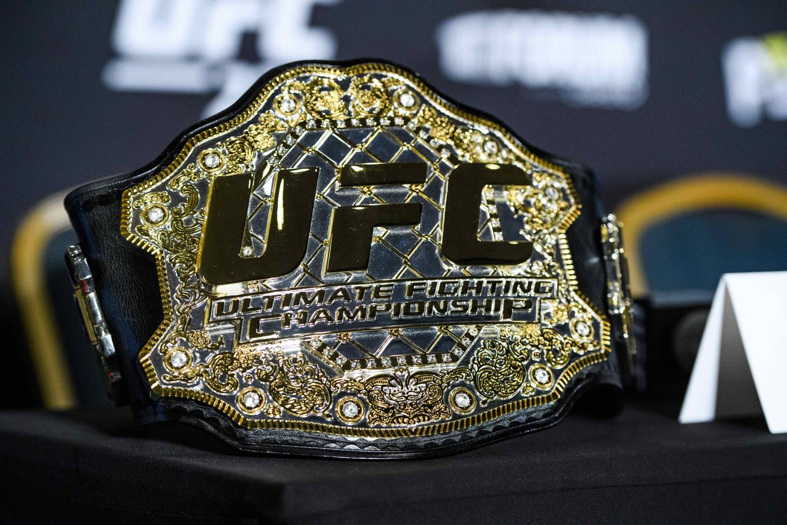 Тренер: &laquo;Минеев мог стать чемпионом UFC&raquo;